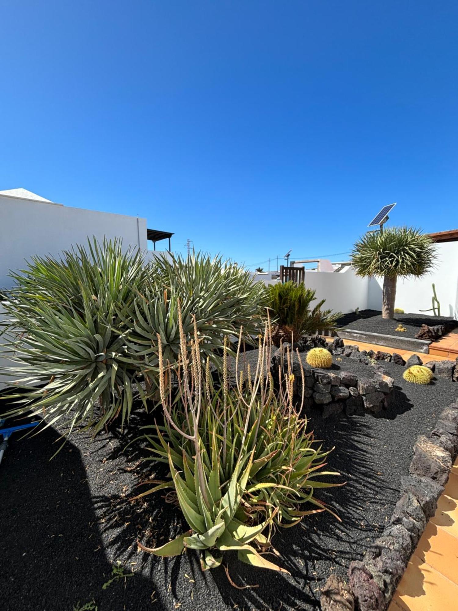 Villa Rincon Oasis Nazaret Extérieur photo